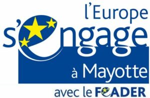 Logo Europe Feder